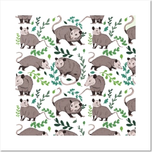 Possums & Plants Posters and Art